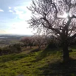 Castillo De * Loarre