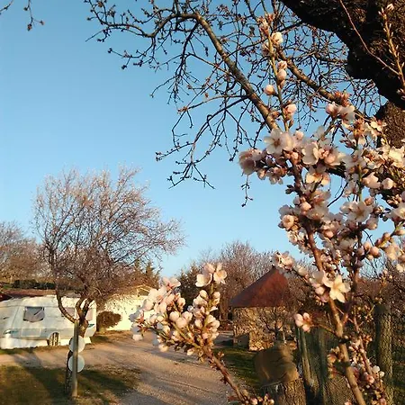 Campsite Castillo De Loarre