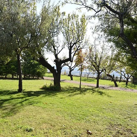 Castillo De Campsite Loarre