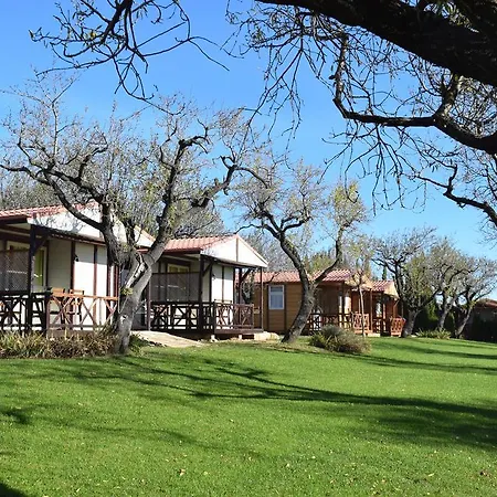 Castillo De Camping Loarre