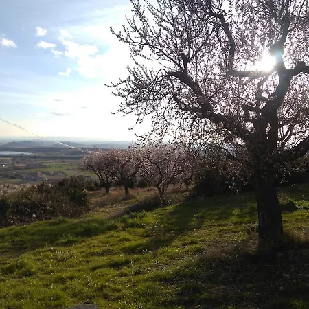 Castillo De * Loarre