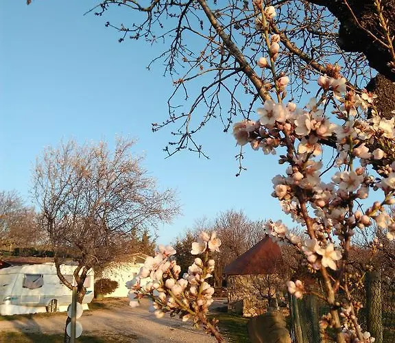 Campsite Castillo De Loarre