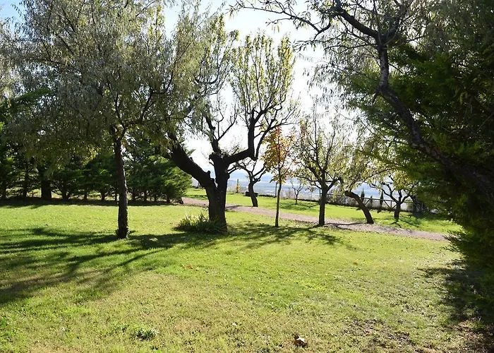 Castillo De Campsite Loarre