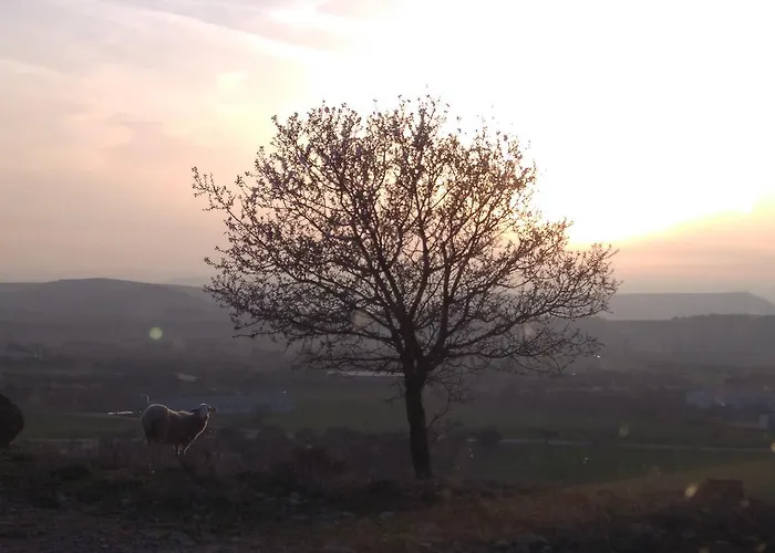 Castillo De Parque de Campismo Loarre